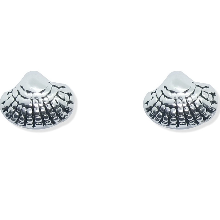 Shell Plain Stud Earrings.