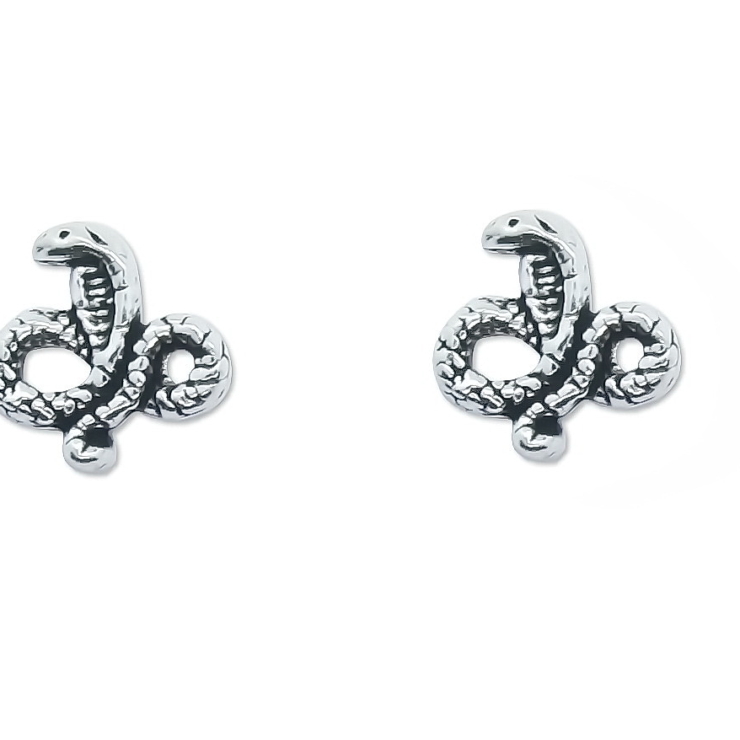Snake Plain Stud Earrings.